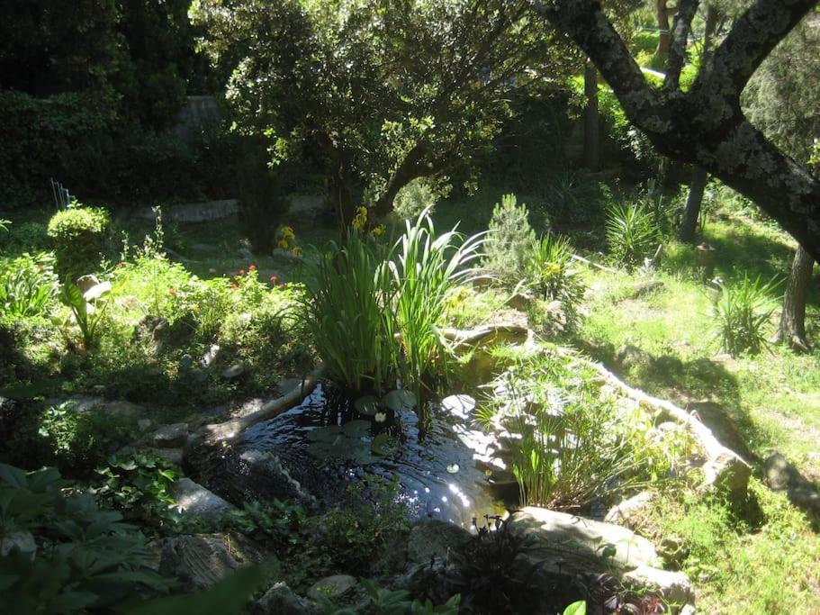 La Rocalla Del Tietar Βίλα Sotillo de la Adrada Εξωτερικό φωτογραφία