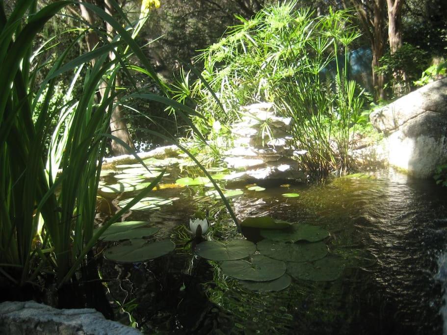 La Rocalla Del Tietar Βίλα Sotillo de la Adrada Εξωτερικό φωτογραφία