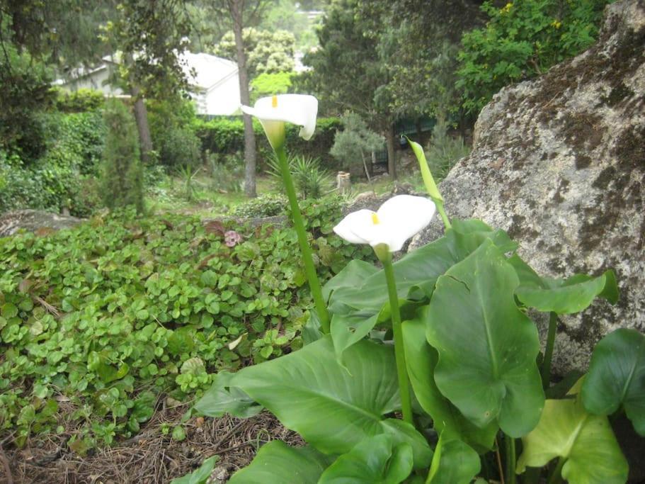 La Rocalla Del Tietar Βίλα Sotillo de la Adrada Εξωτερικό φωτογραφία