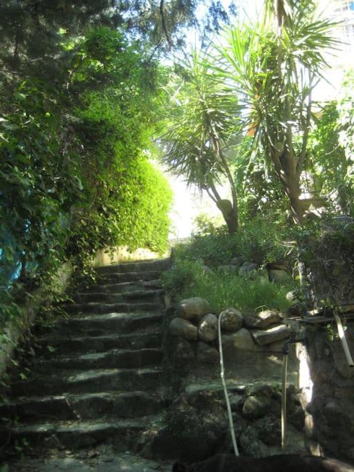 La Rocalla Del Tietar Βίλα Sotillo de la Adrada Εξωτερικό φωτογραφία